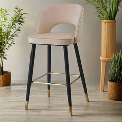 Modern Cafe Dining Chair