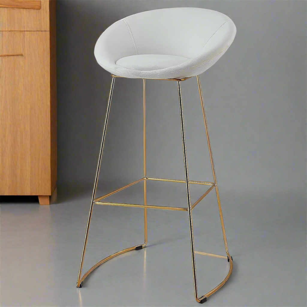 Modern Dining Chair