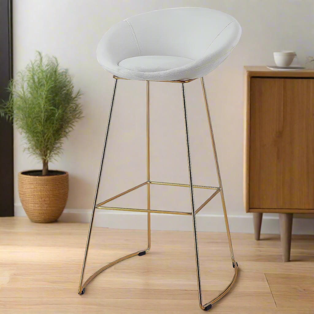 Modern Dining Chair