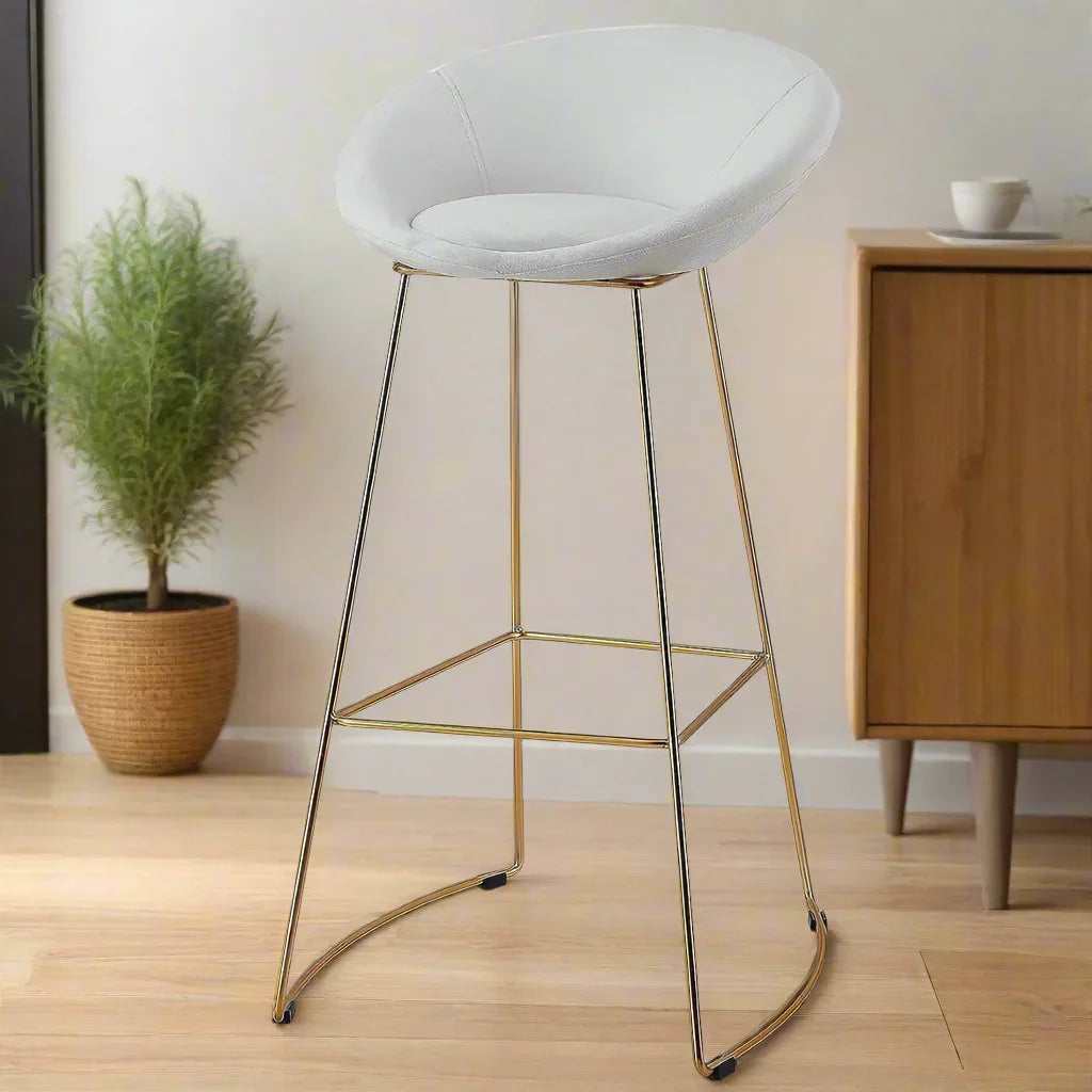 Modern Dining Chair