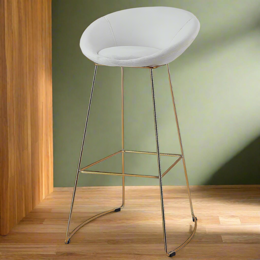 Modern Dining Chair