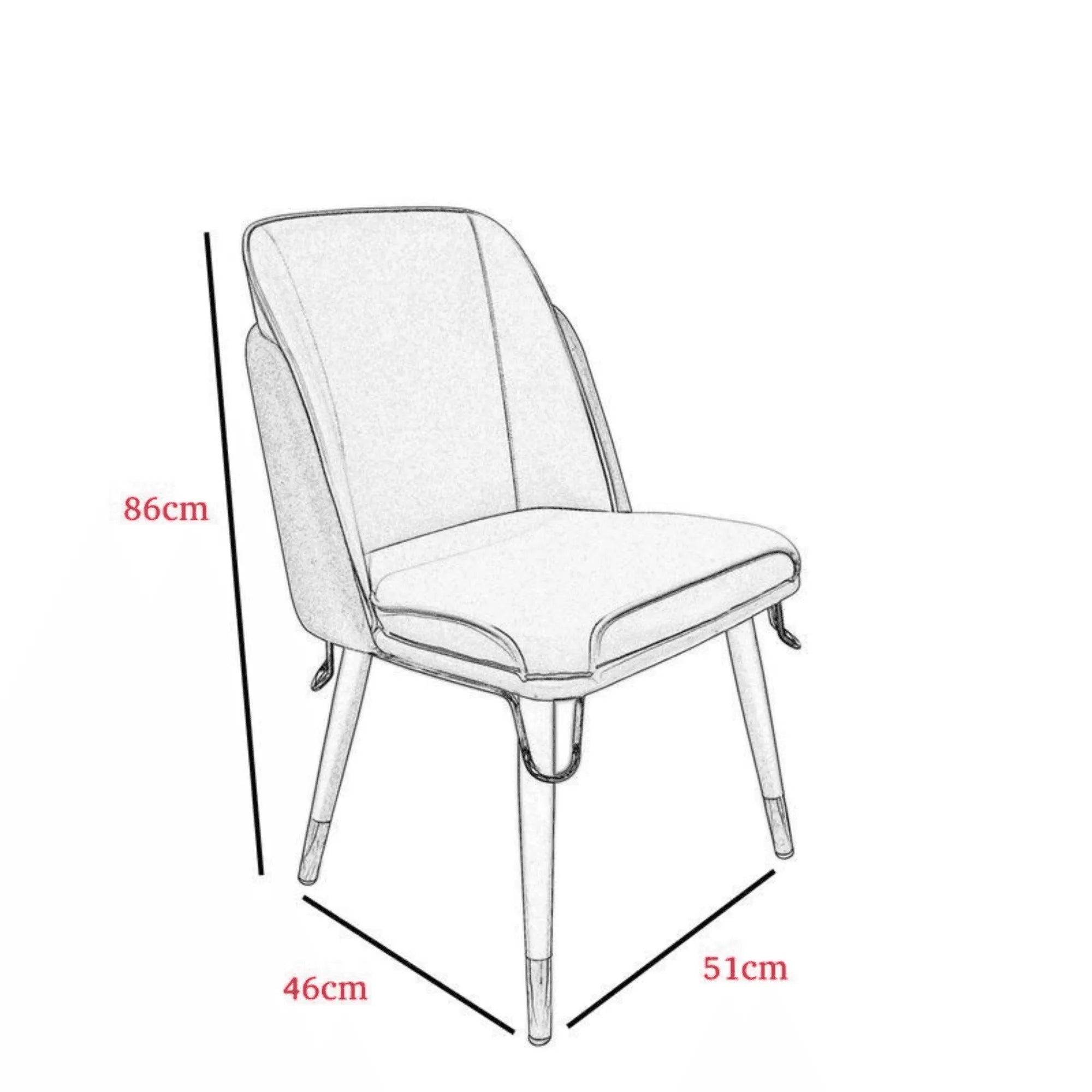 Modern Dining Chair