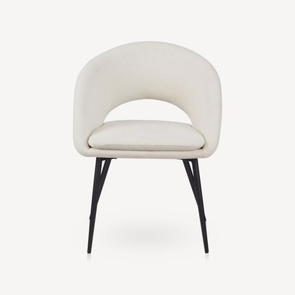 Modern Dining Chair