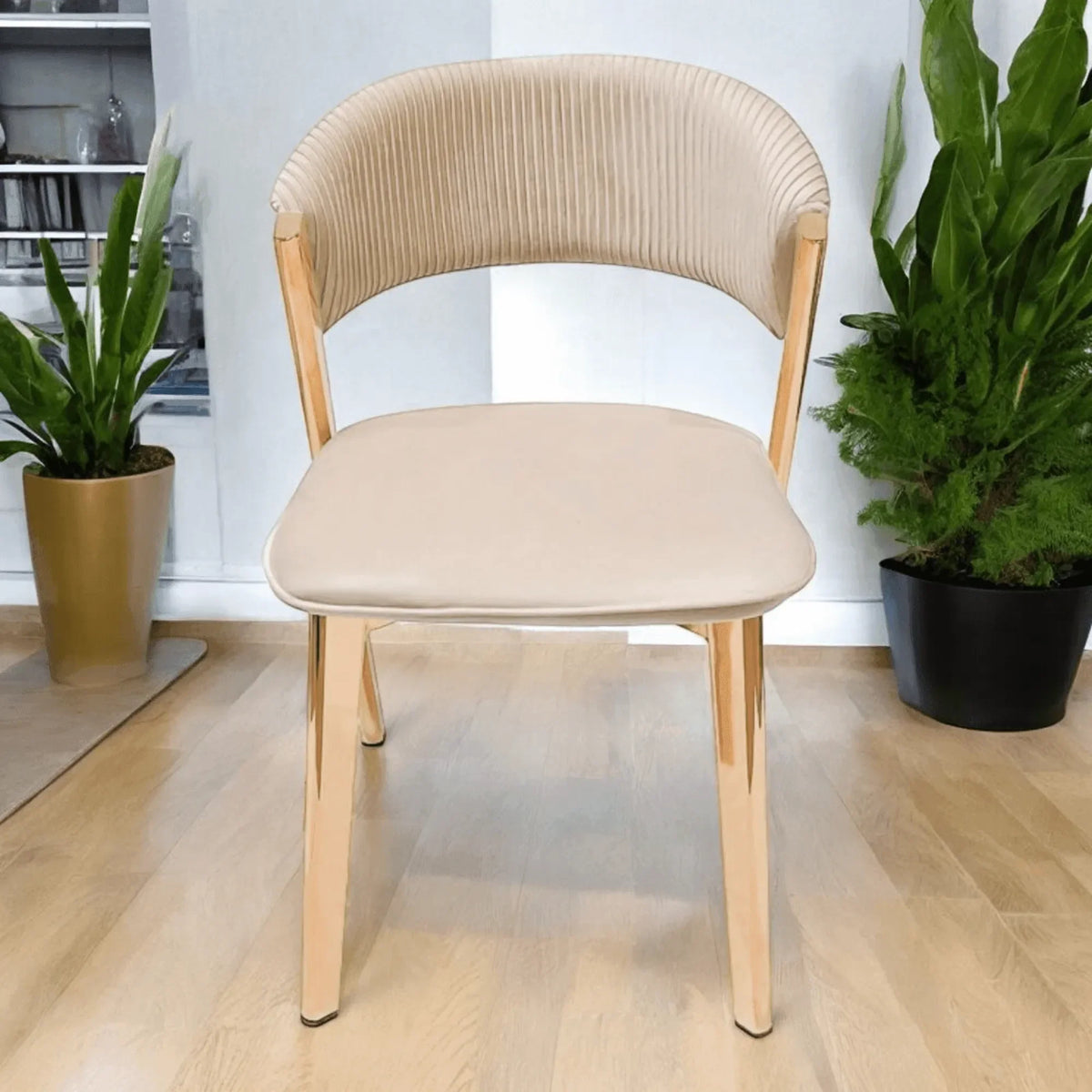 Curved Backrest, Velvet Comfort, Modern Armless Silhouette