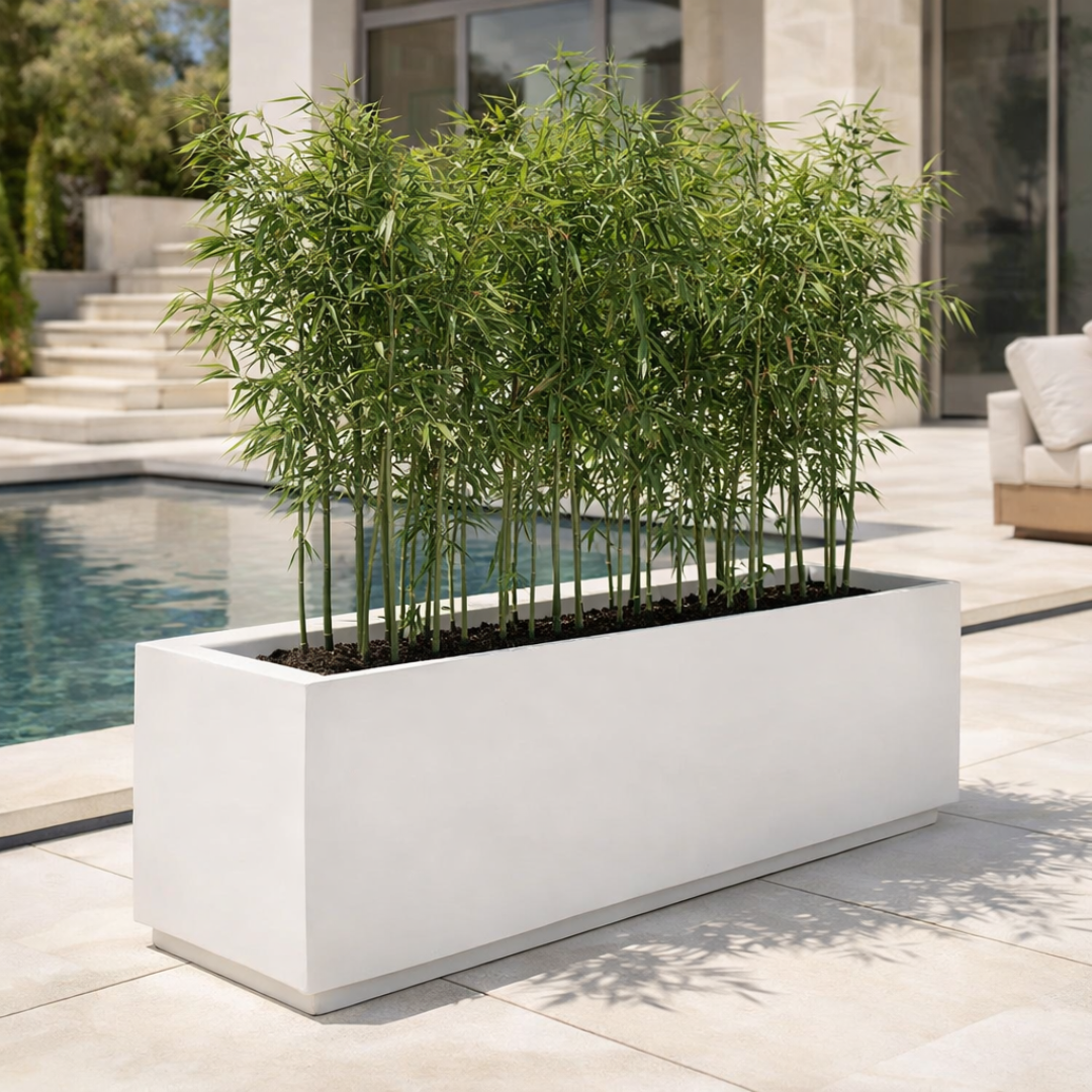  Planter Pot Premium Indoor & Outdoor