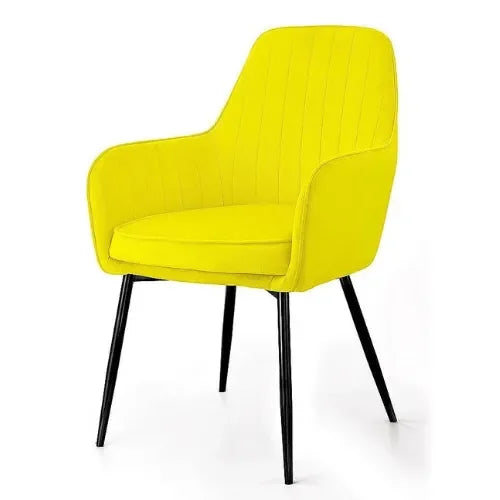 Modern Cafe Dining Chair