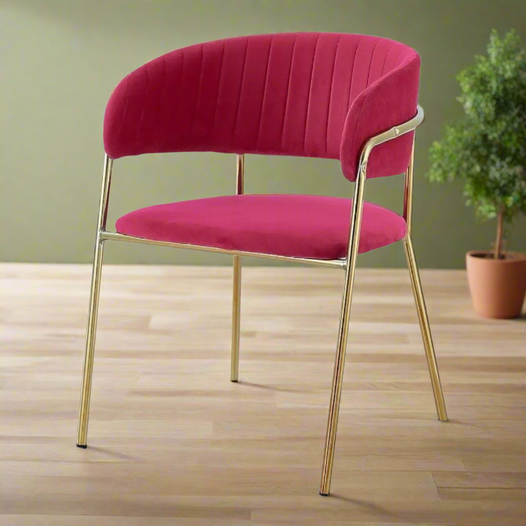 Modern Dining Chair