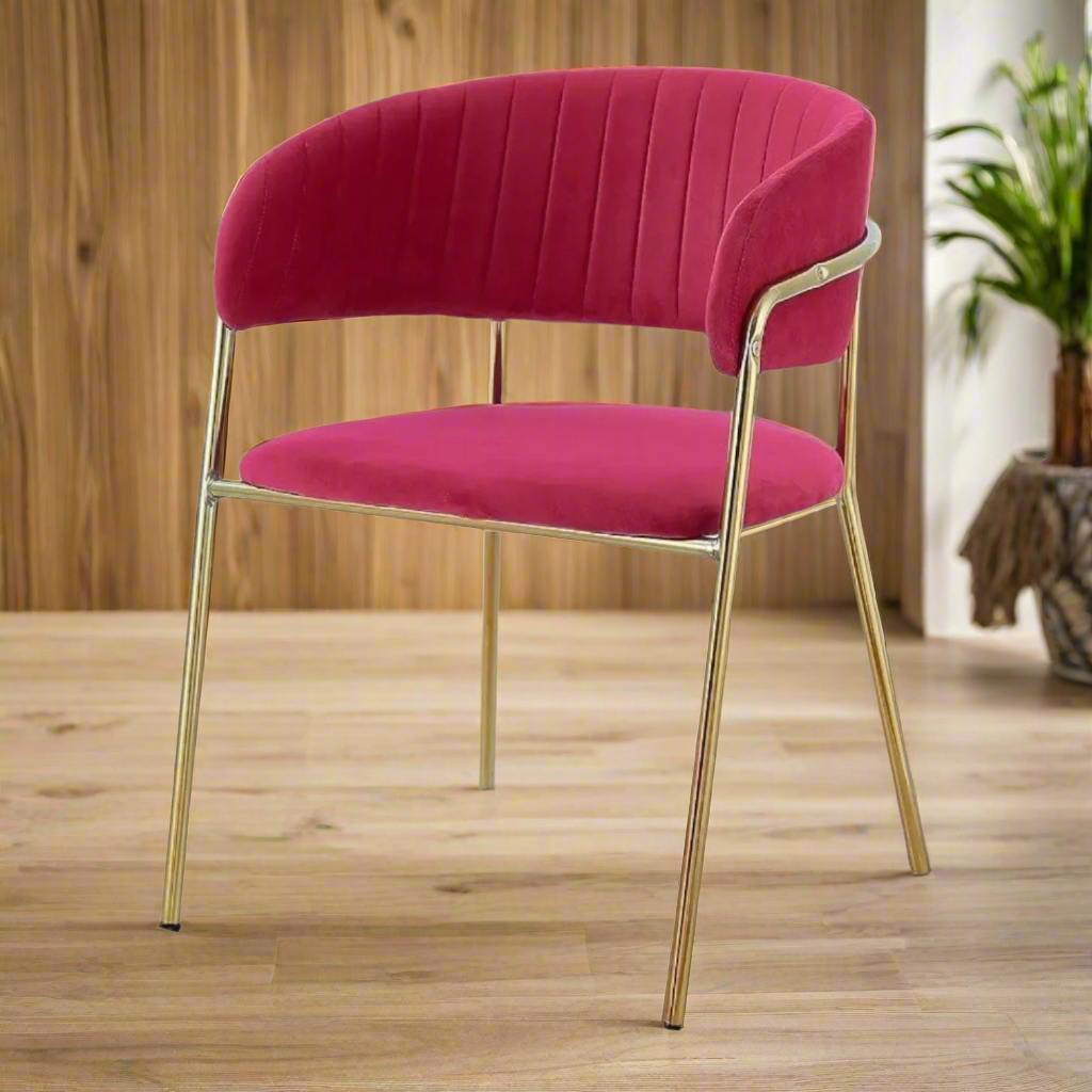 Modern Dining Chair