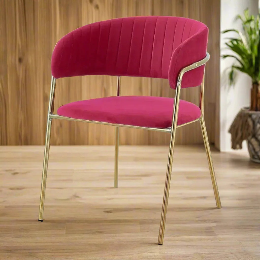 Modern Dining Chair