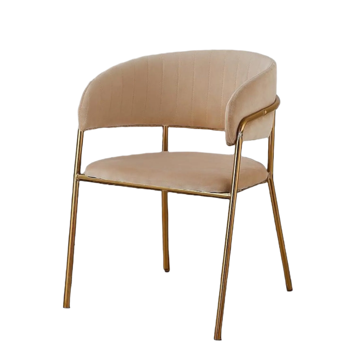 Modern Cafe Dining Chair