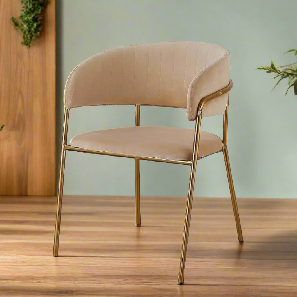 Modern Cafe Dining Chair