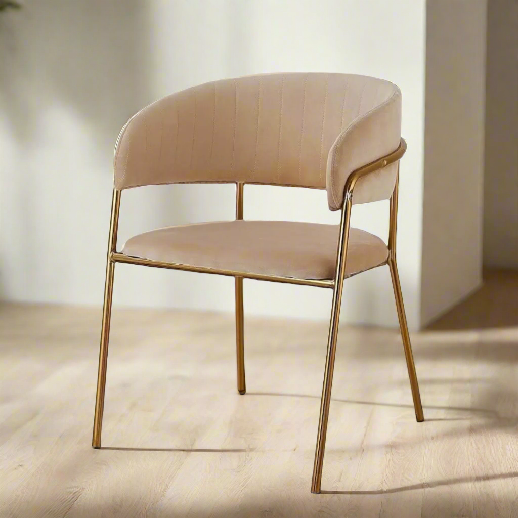 Modern Cafe Dining Chair