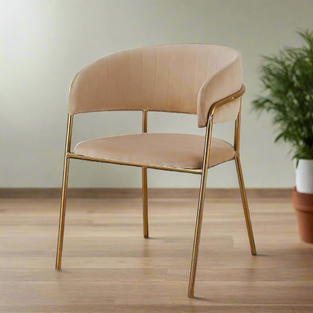 Modern Cafe Dining Chair