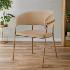 Modern Cafe Dining Chair