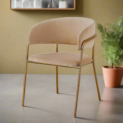 Modern Cafe Dining Chair