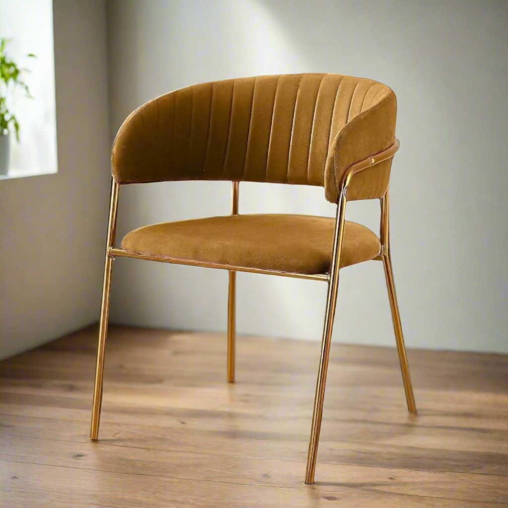 Modern Cafe Dining Chair