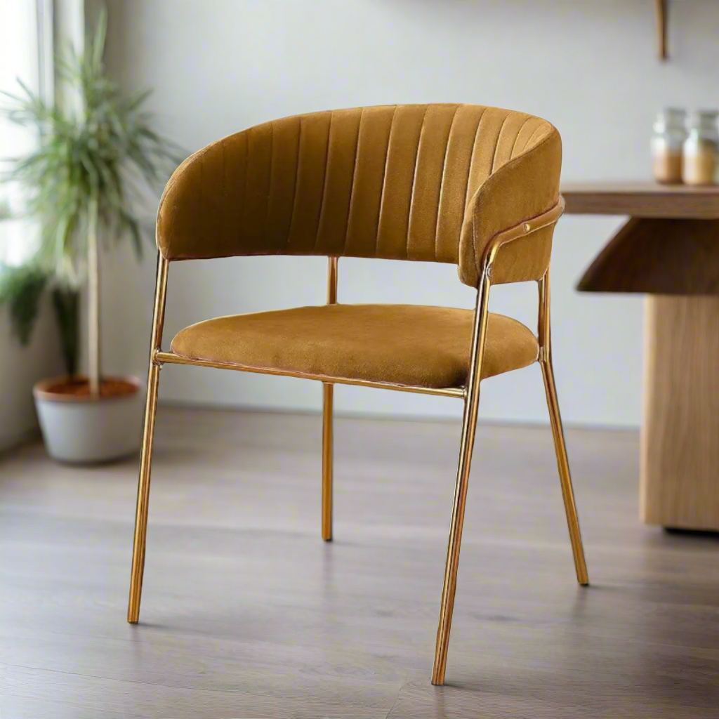 Modern Cafe Dining Chair