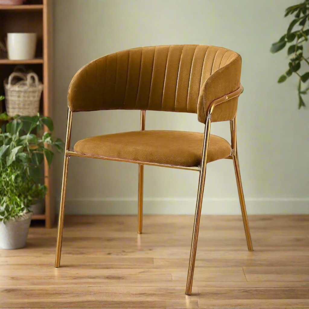 Modern Cafe Dining Chair