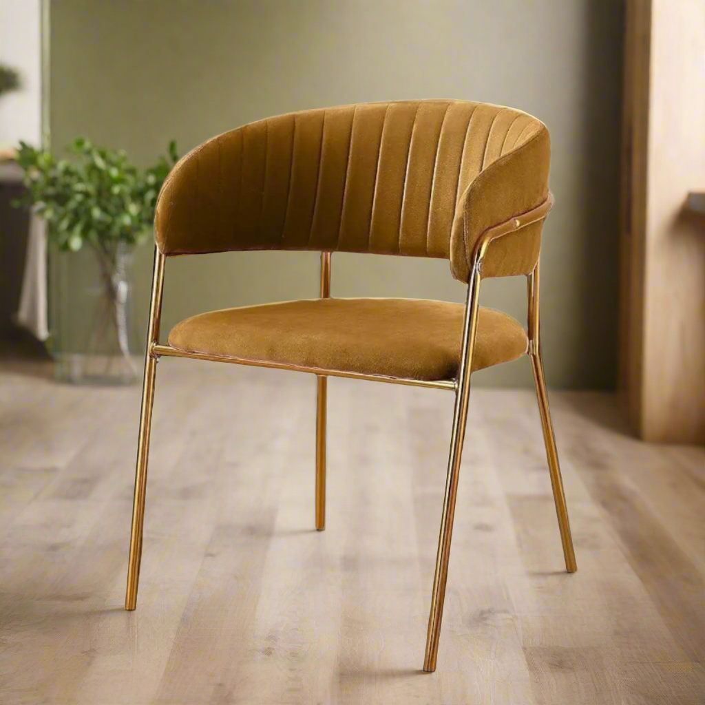 Modern Cafe Dining Chair