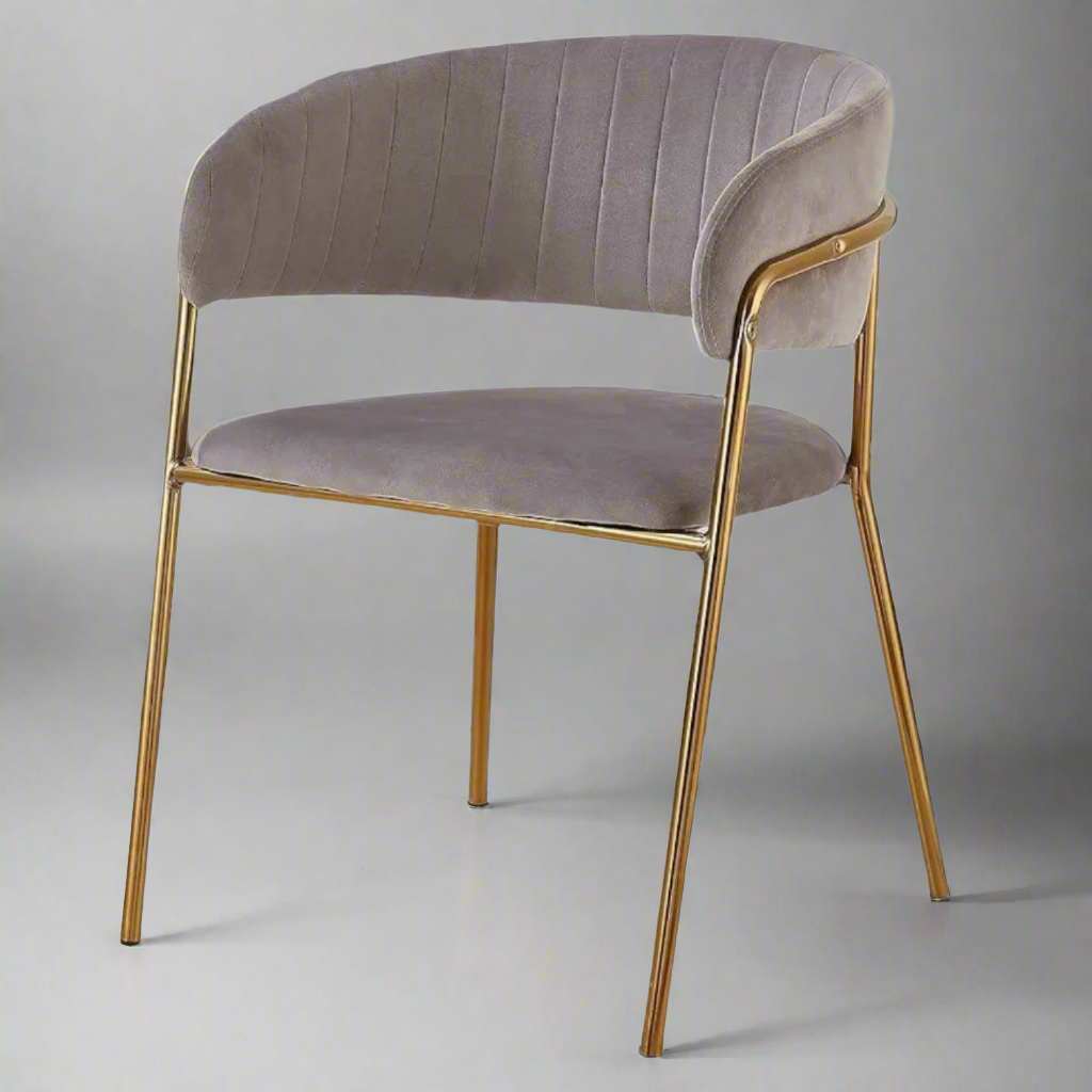 Modern Dining Chair