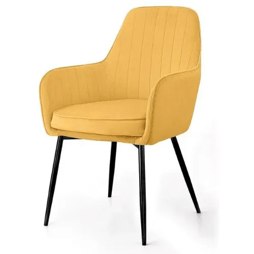 Modern Cafe Dining Chair