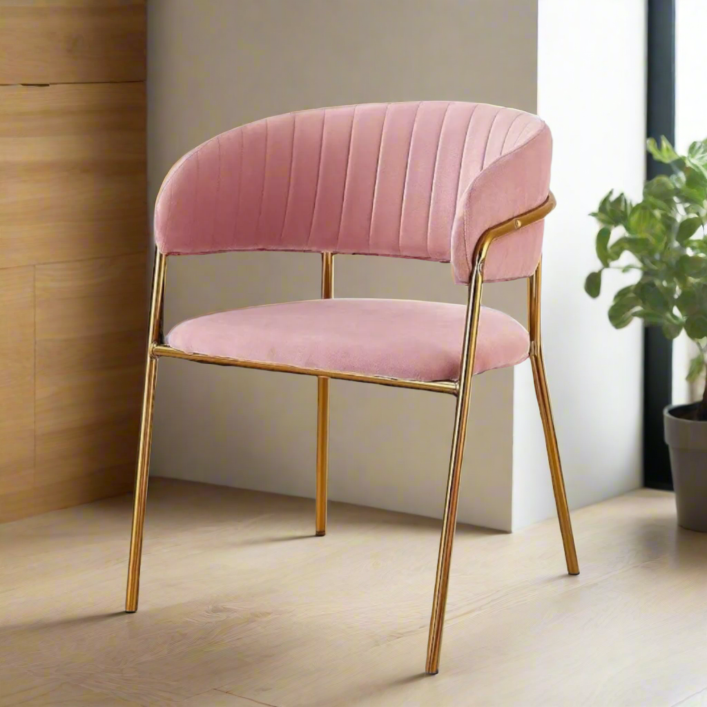 Modern Dining Chair