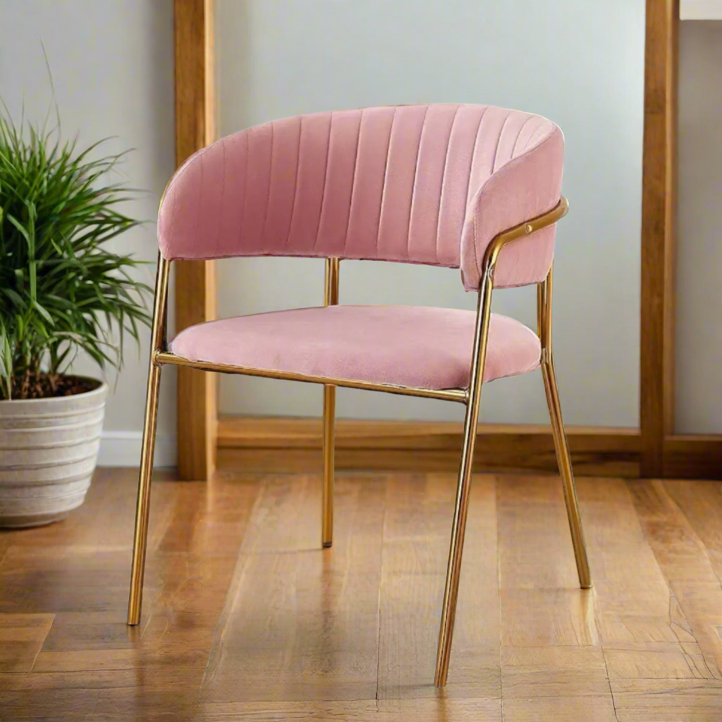 Modern Dining Chair