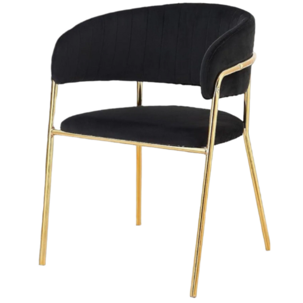 Modern Cafe Dining Chair