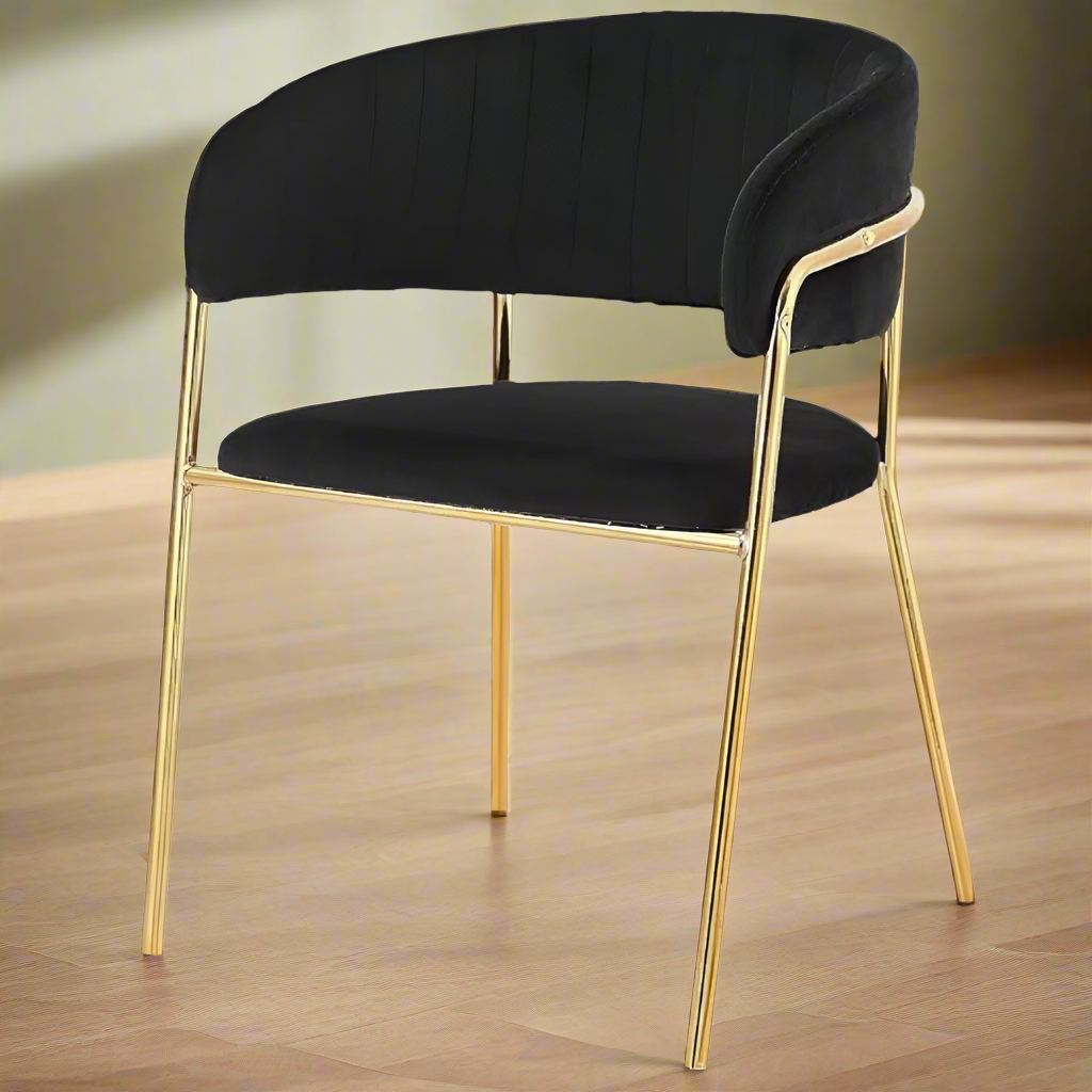 Modern Cafe Dining Chair