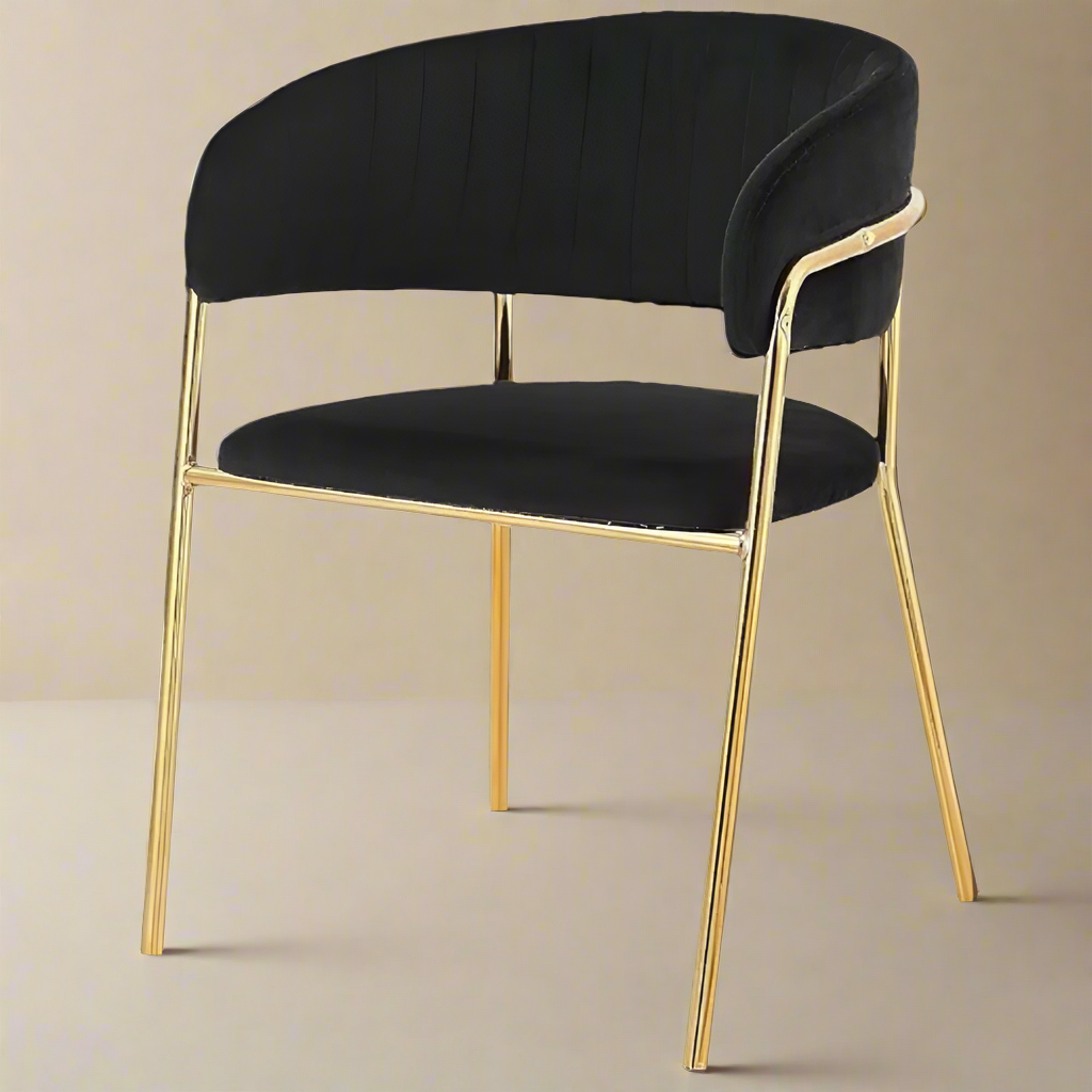 Modern Cafe Dining Chair