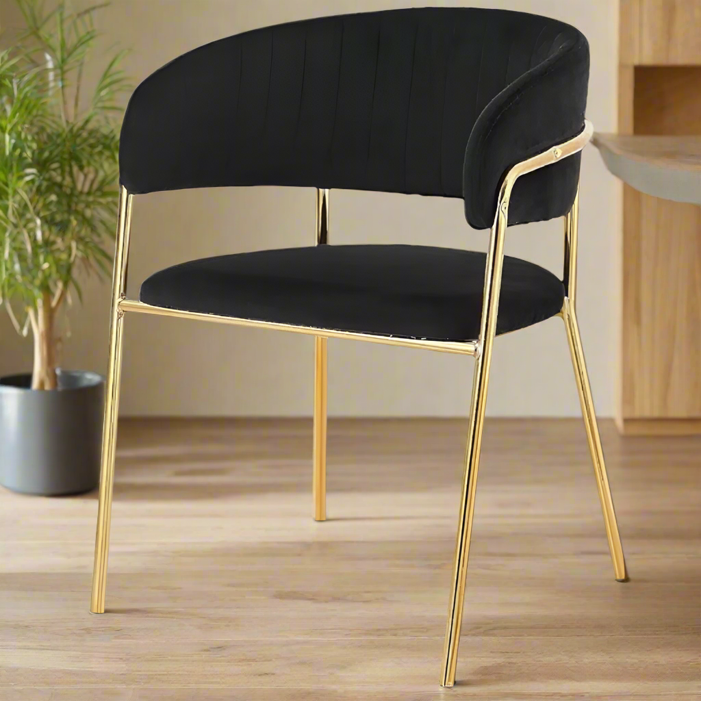 Modern Cafe Dining Chair