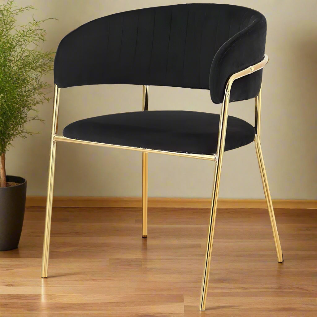 Modern Cafe Dining Chair