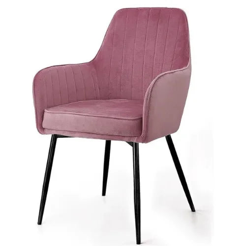 Modern Cafe Dining Chair