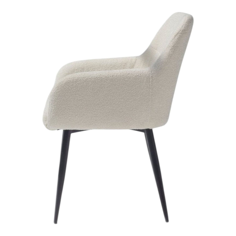 Modern Dining Chair