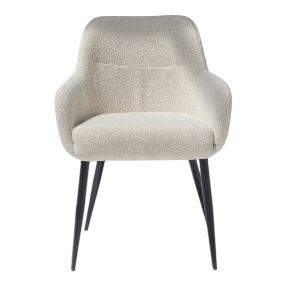 Modern Dining Chair