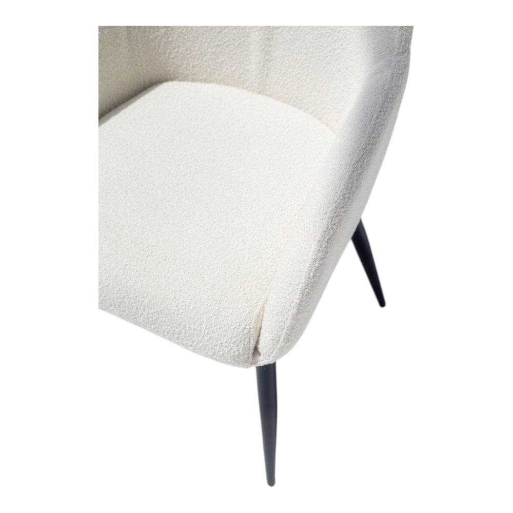 Modern Dining Chair