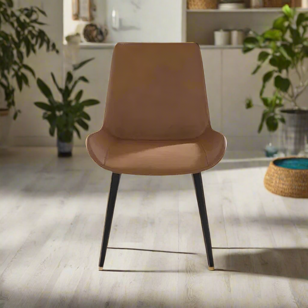 Modern Dining Chair