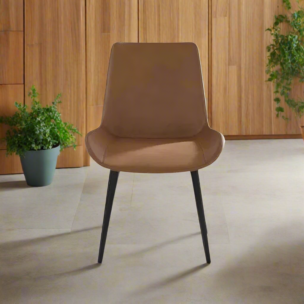 Modern Dining Chair