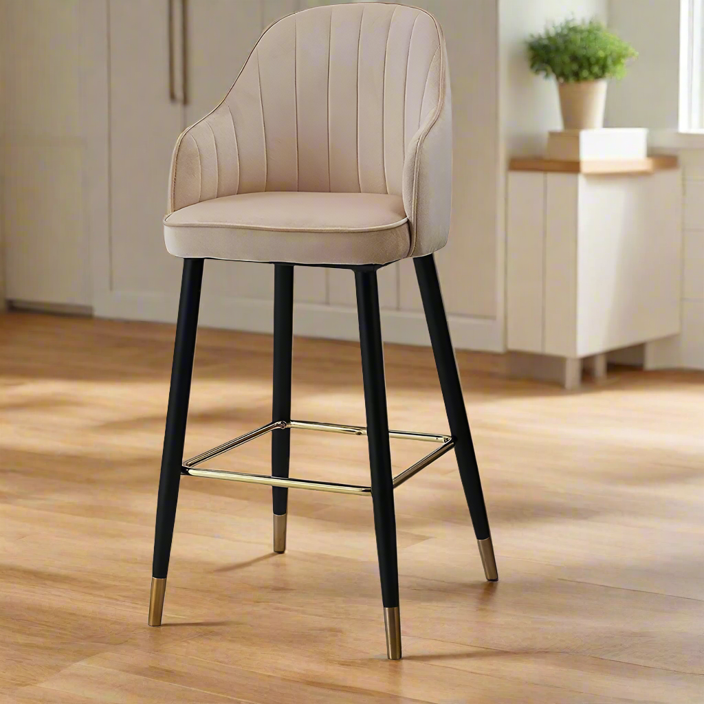 Modern Dining Chair