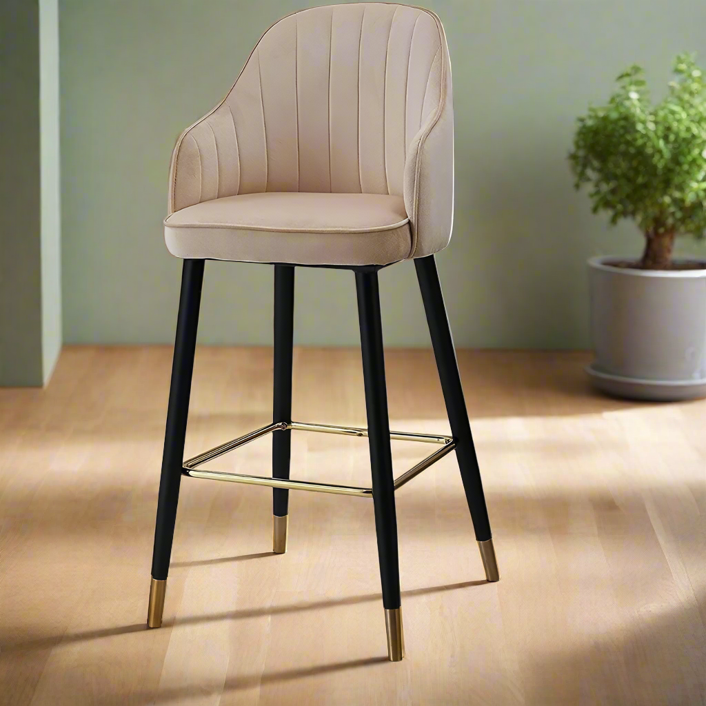 Modern Dining Chair