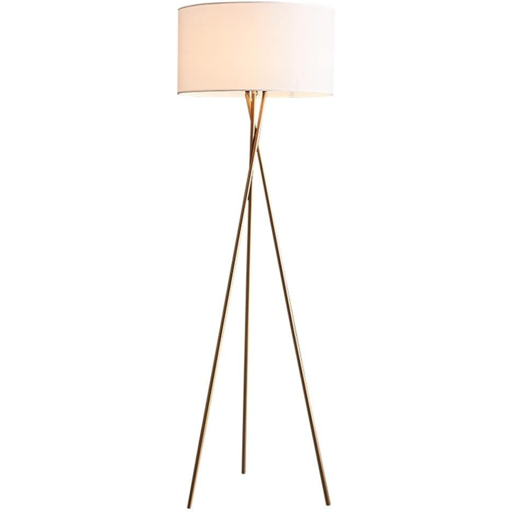 Modern Floor Lamp