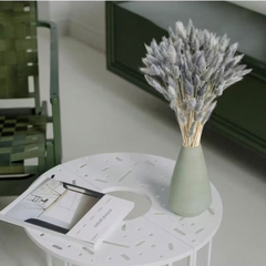 Natural Dried Bunny Tail Grass