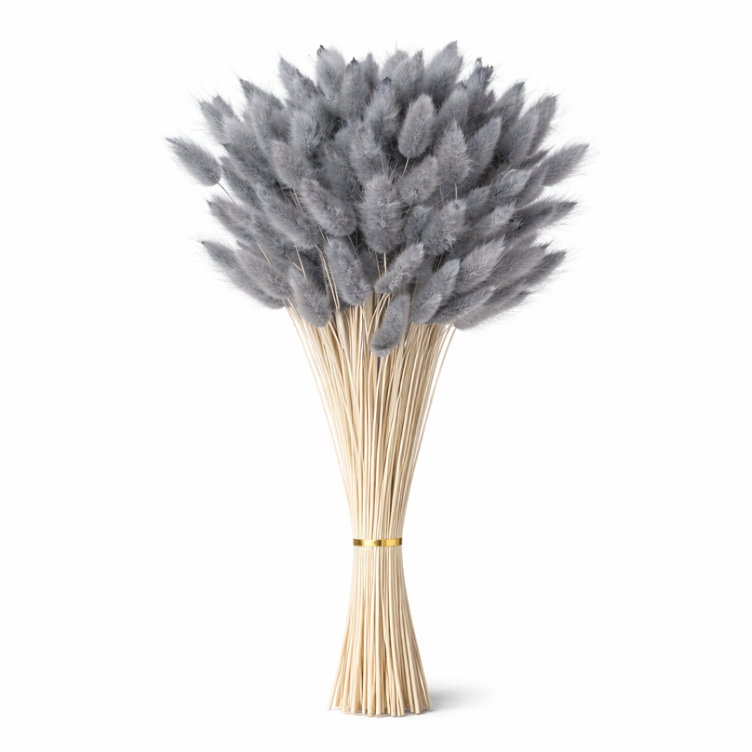 Natural Dried Bunny Tail Grass