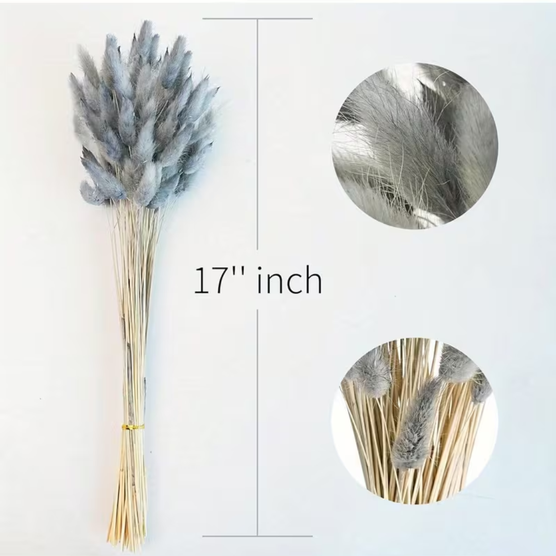 Natural Dried Bunny Tail Grass