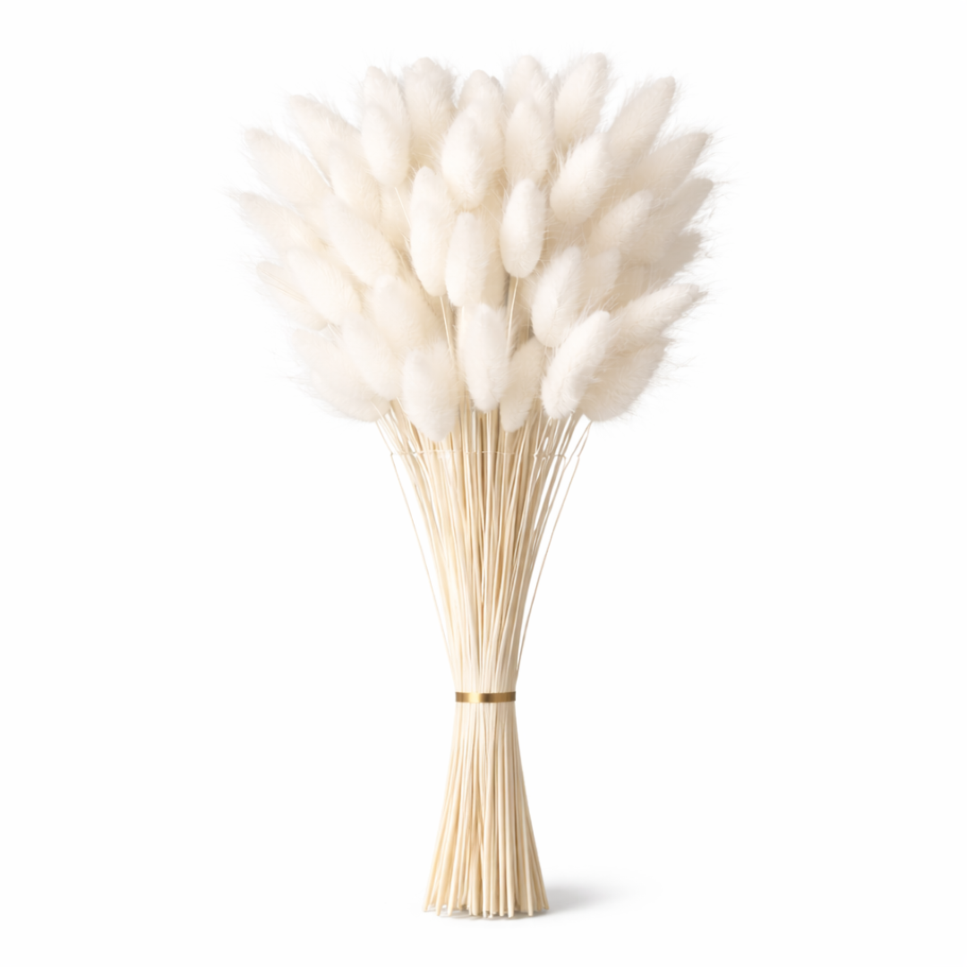 Natural Dried Bunny Tail Grass
