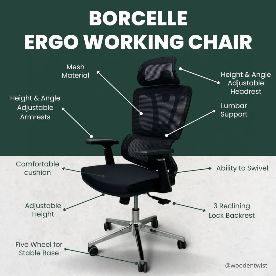 Adjustable Lumbar Support