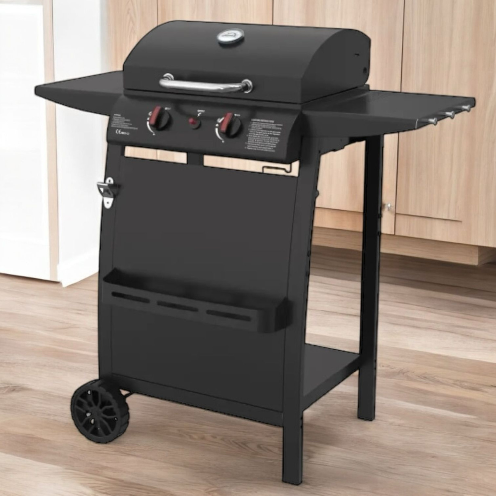 Portable BBQ Gas Grill