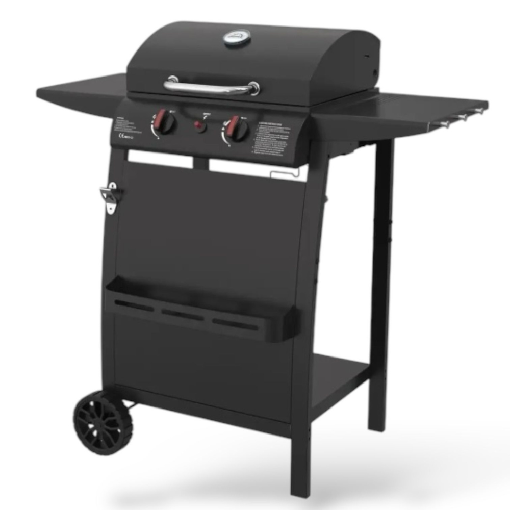 Portable BBQ Gas Grill