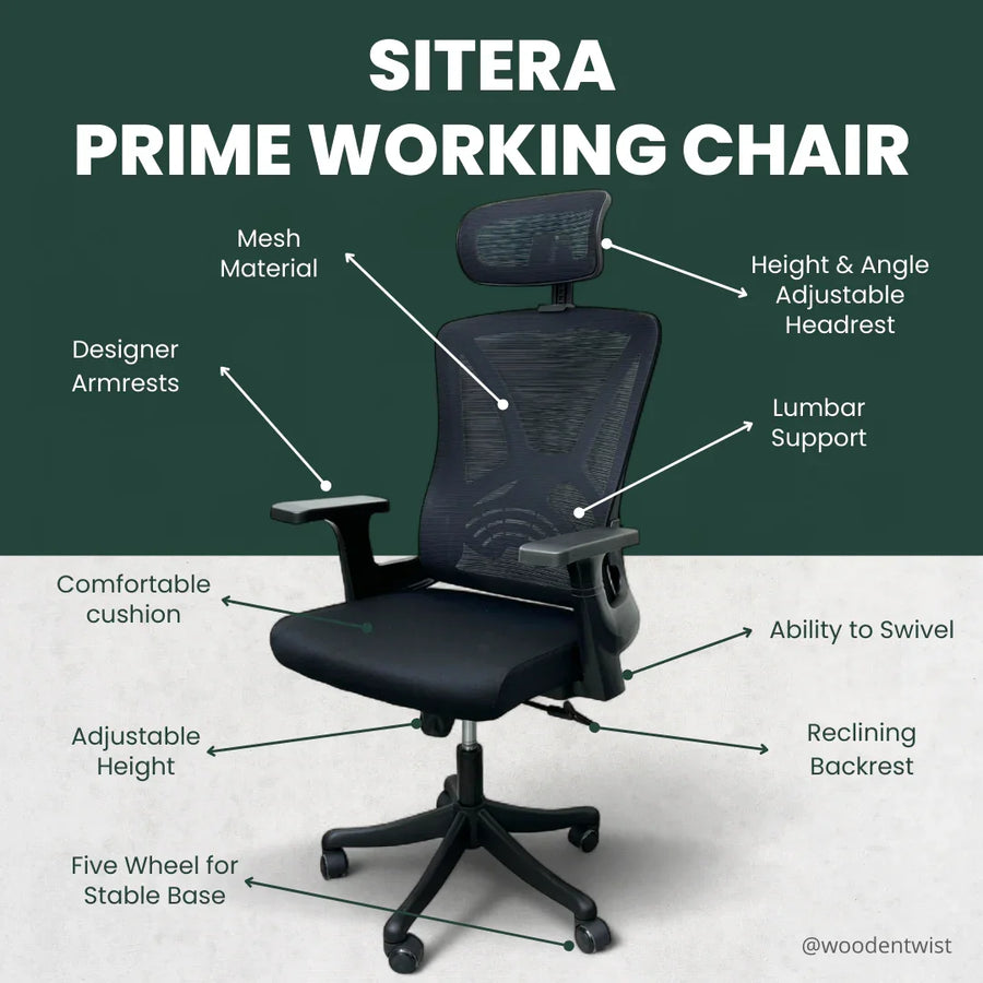 Ergonomic Lumbar Support & Adjustable Headrest