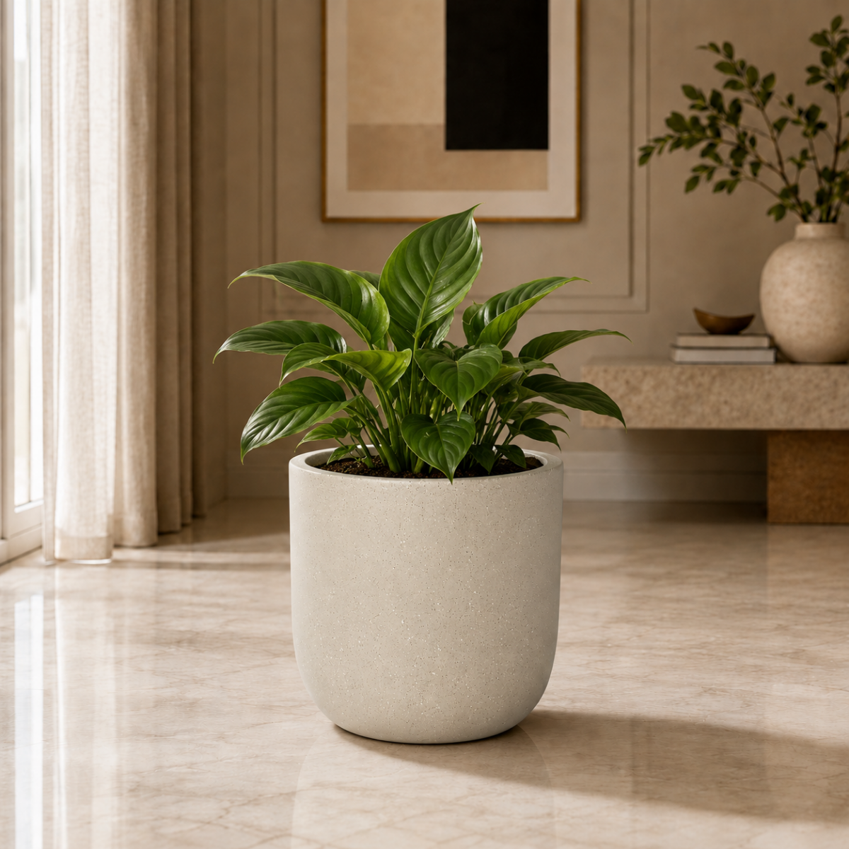 Small Fiberglass Planter with Green Indoor Plant – Flower Pot Dubai – Wooden Twist UAE